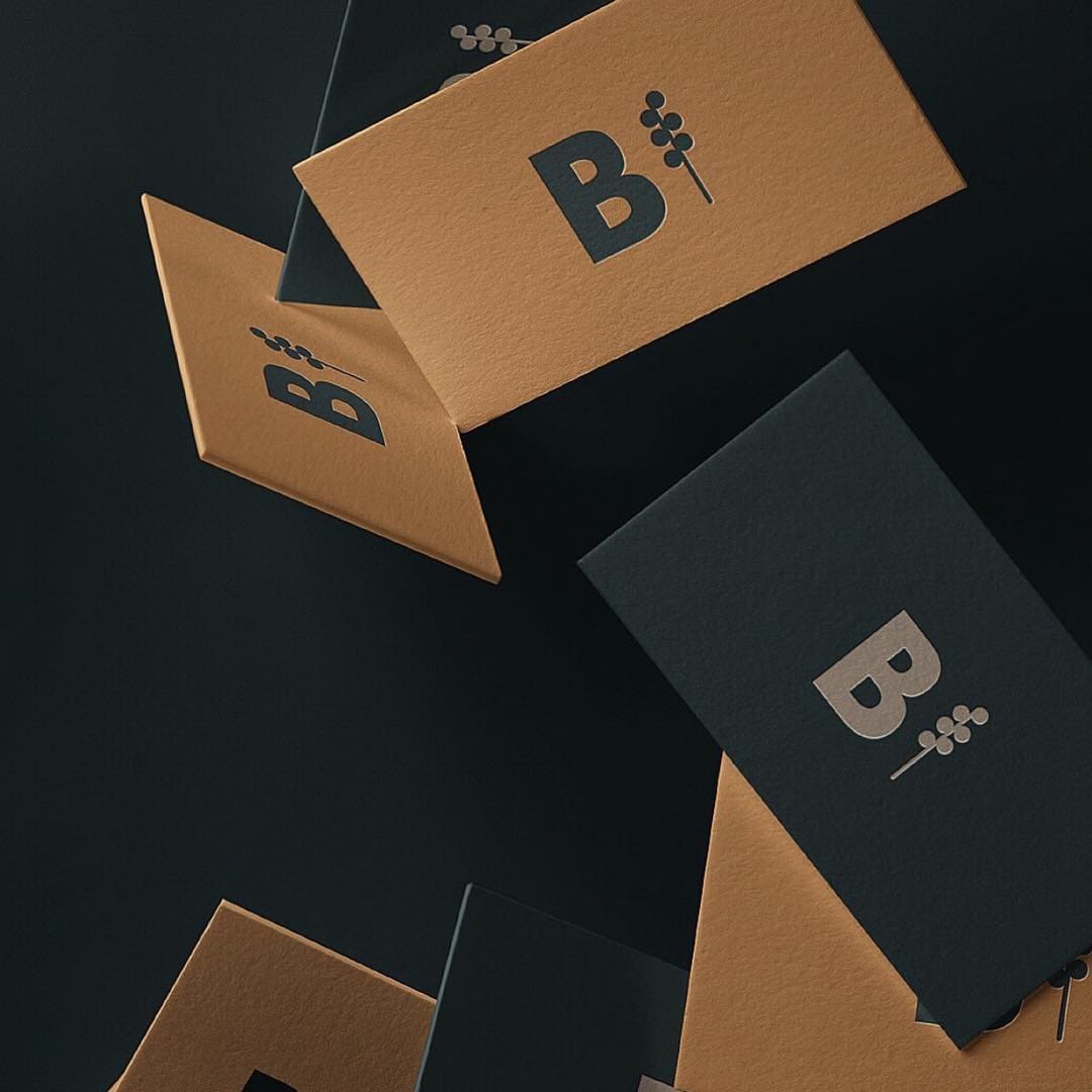 Bison Packaging