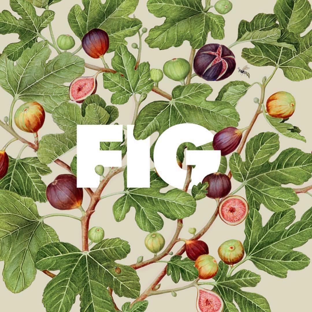 FIG