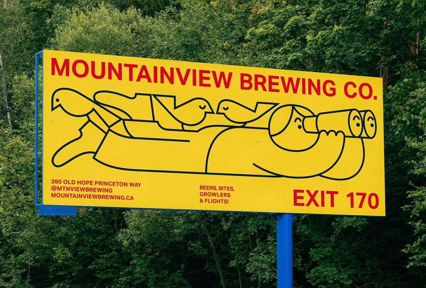 Mountainview Brewing Co