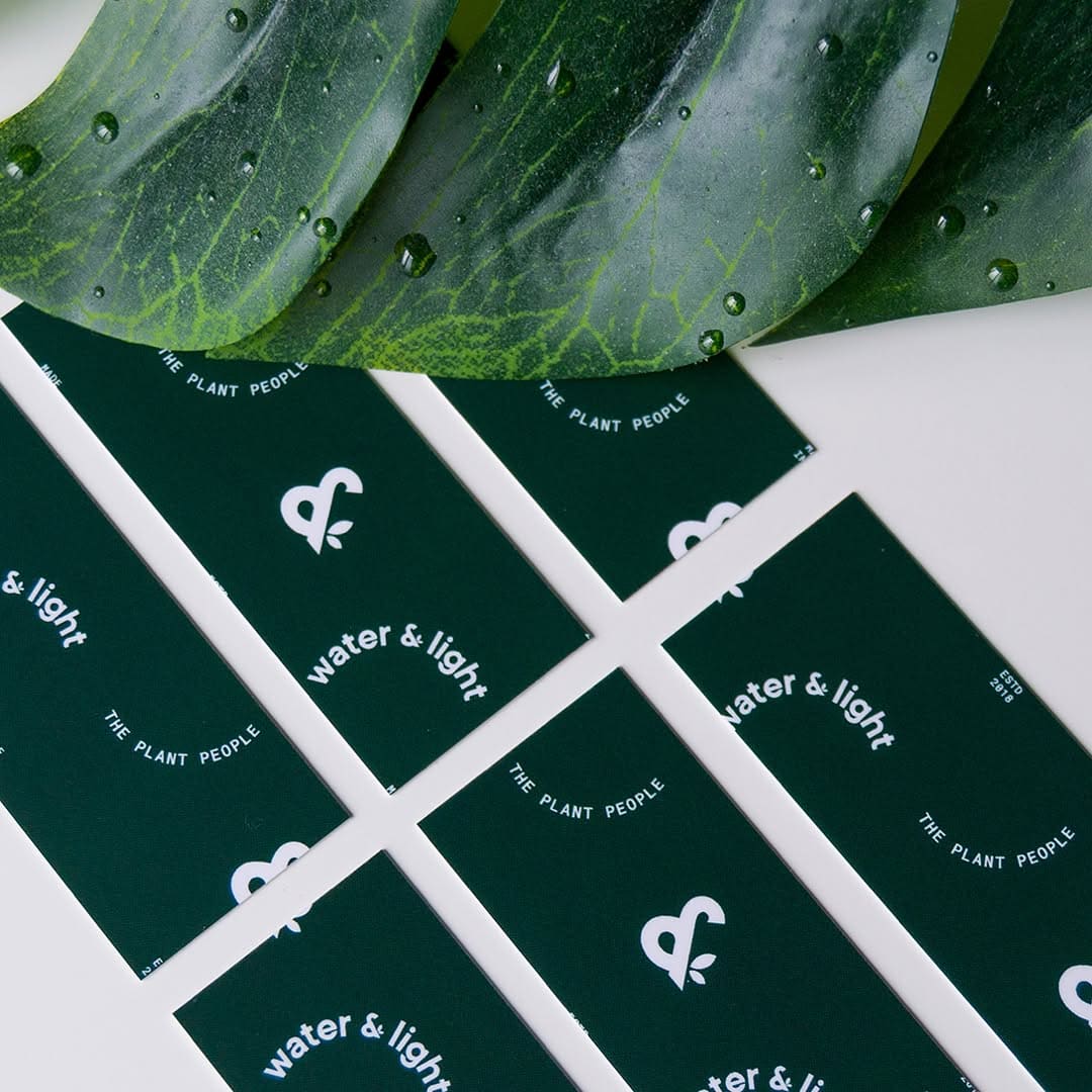 Water & Light brand identity