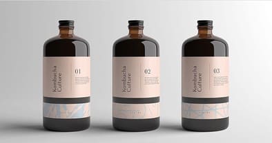 Kombucha Culture