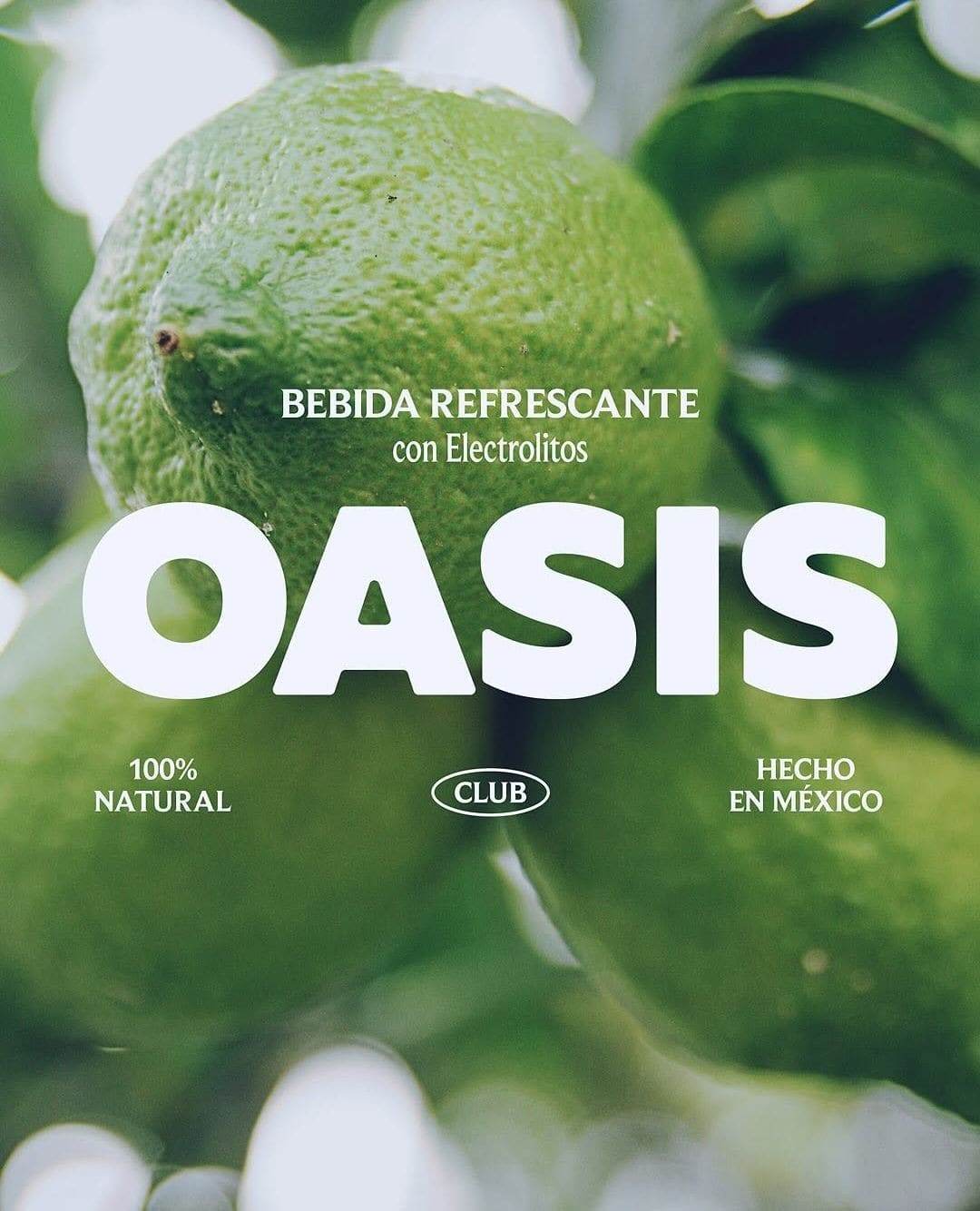 Branding & Packaging for @oasisuero