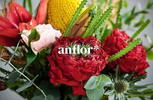 Anflor branding