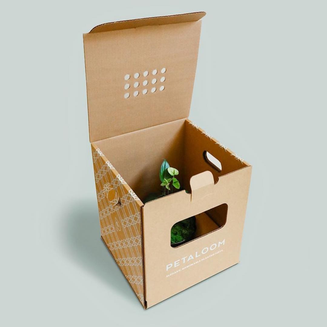 Petaloom Branding