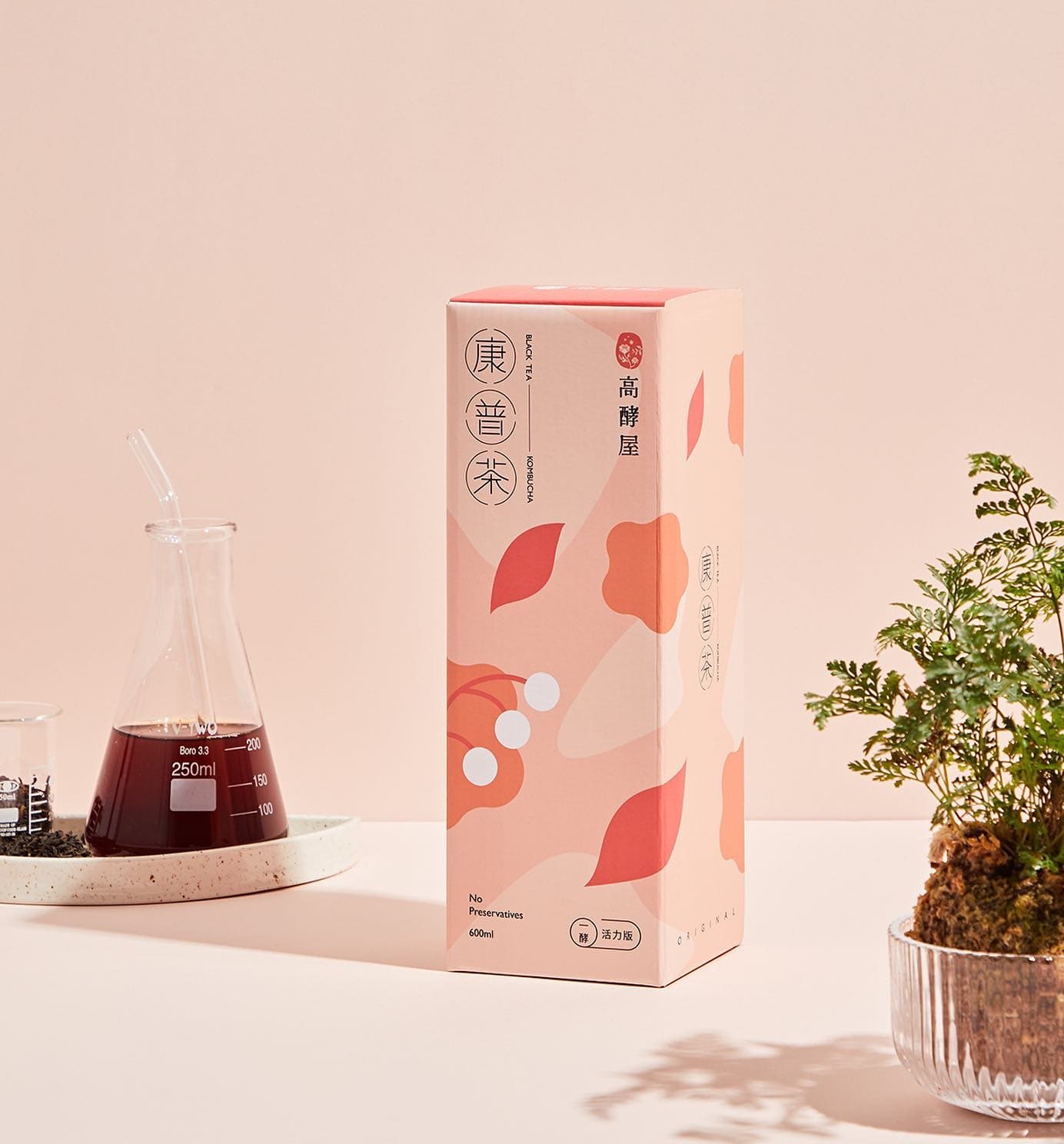 Black tea Kombucha packaging｜高酵屋康普茶