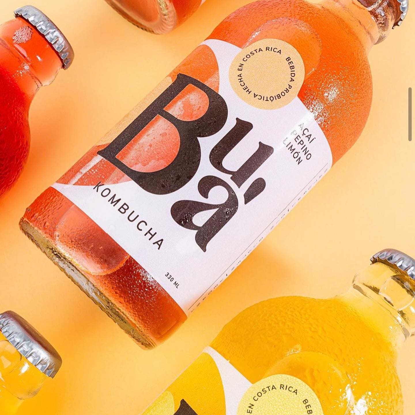 Bua Kombucha