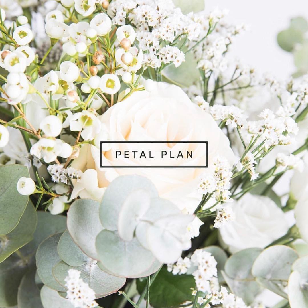 Petal Plan