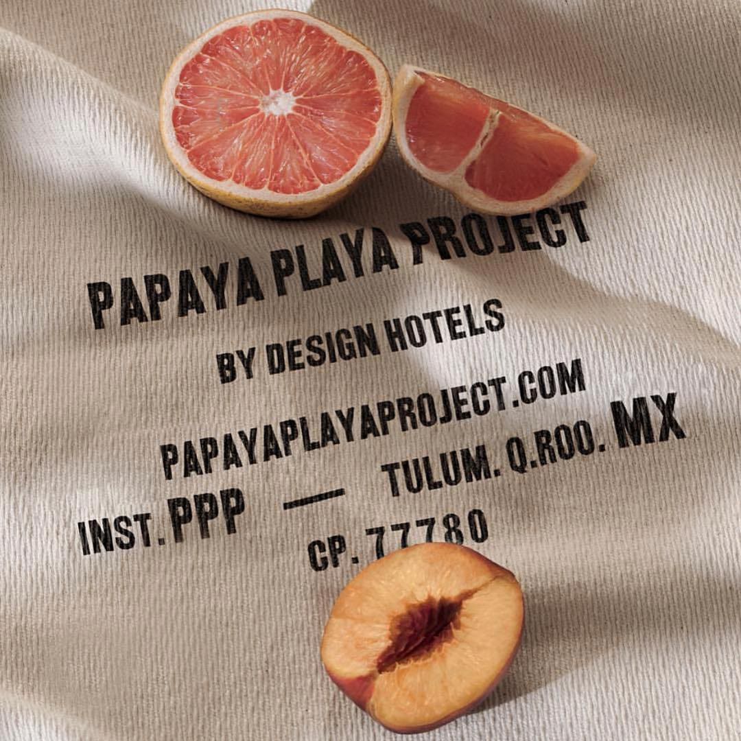 Papaya Playa Project