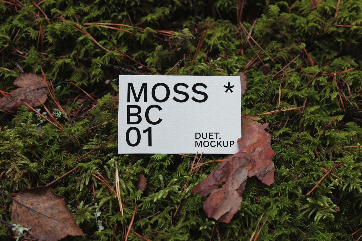 MOSS COLLECTION