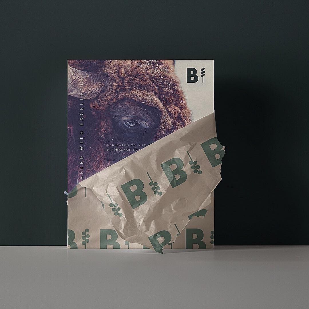 Bison Packaging