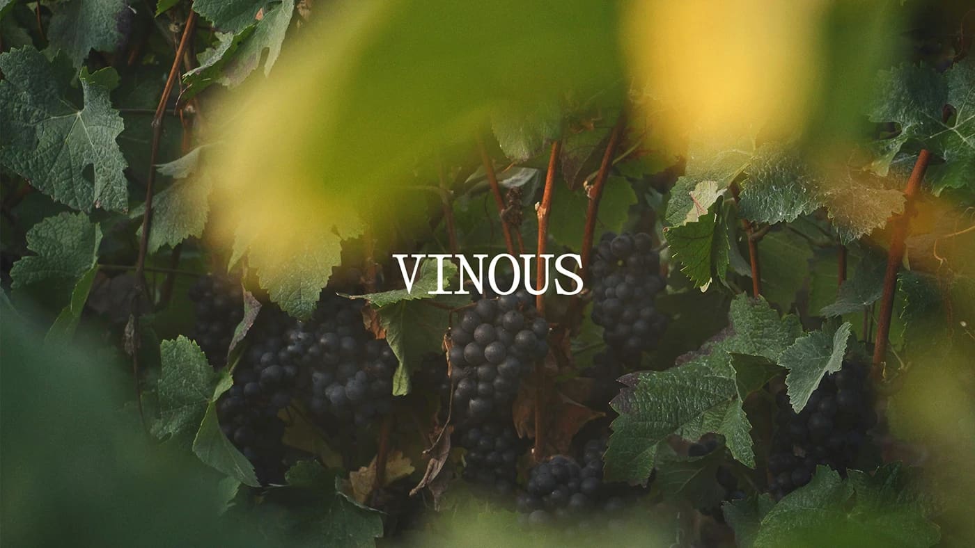 Vinous Brand Identity