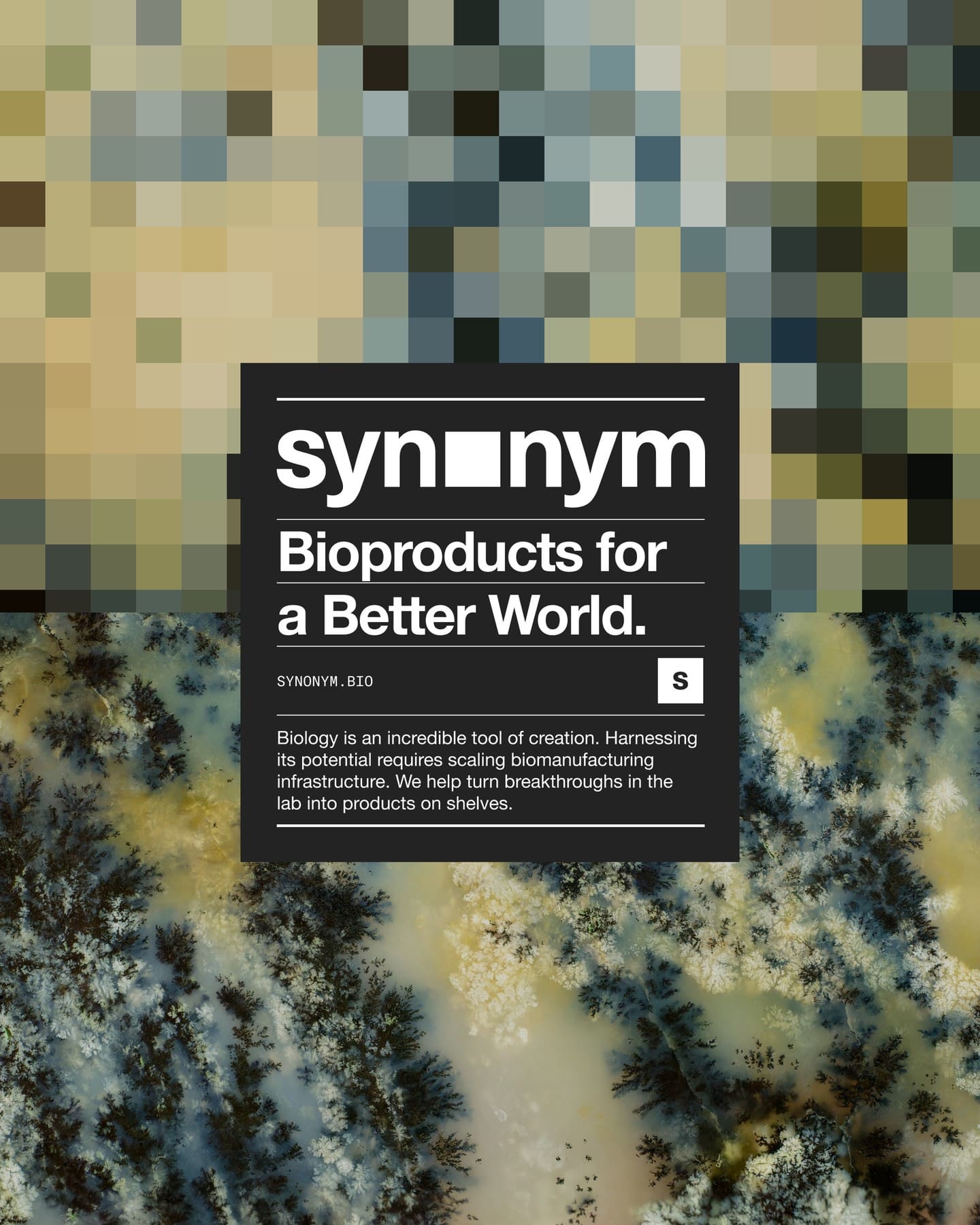 Synonym
