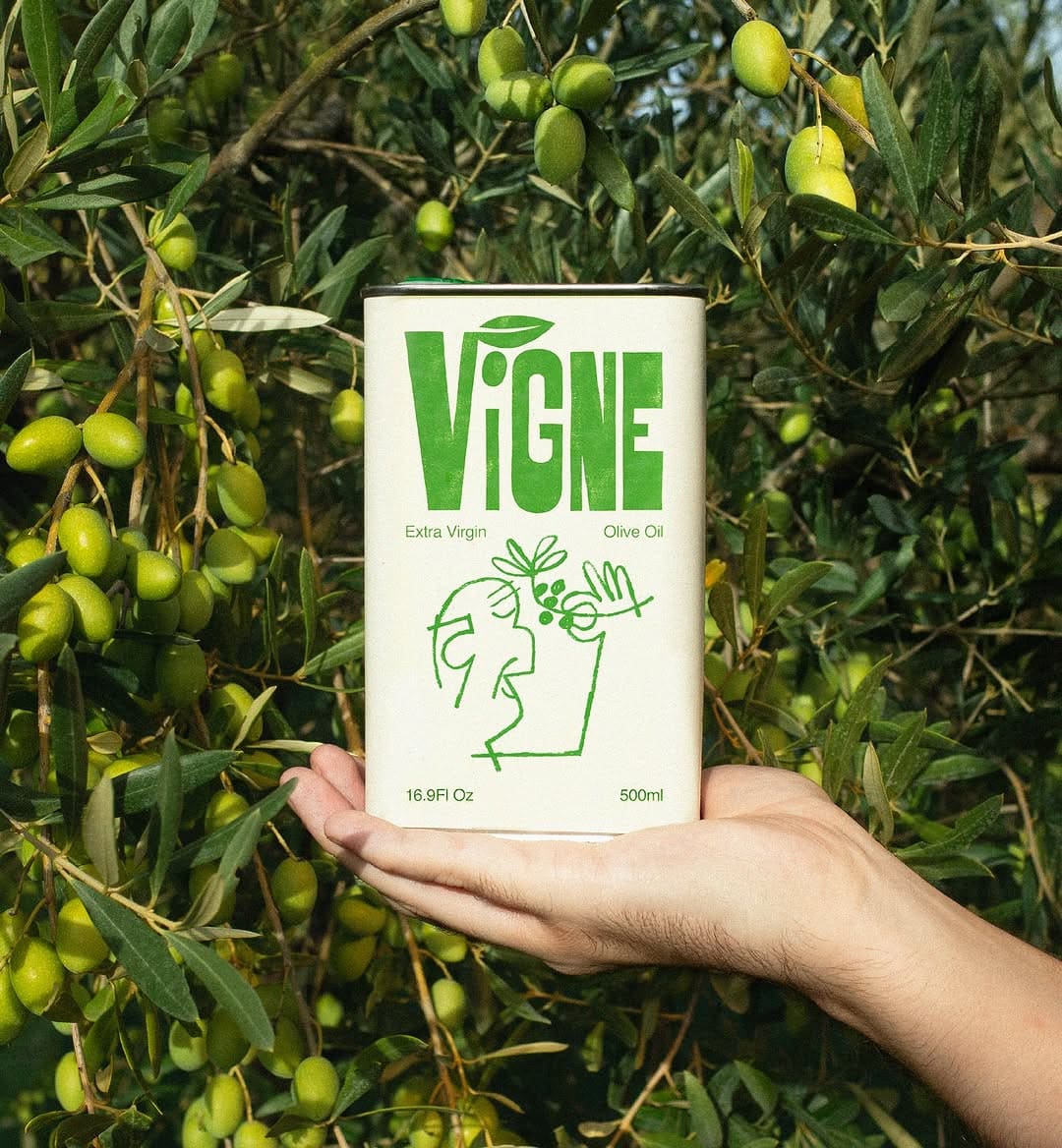 Vigne brand identity and packaging
