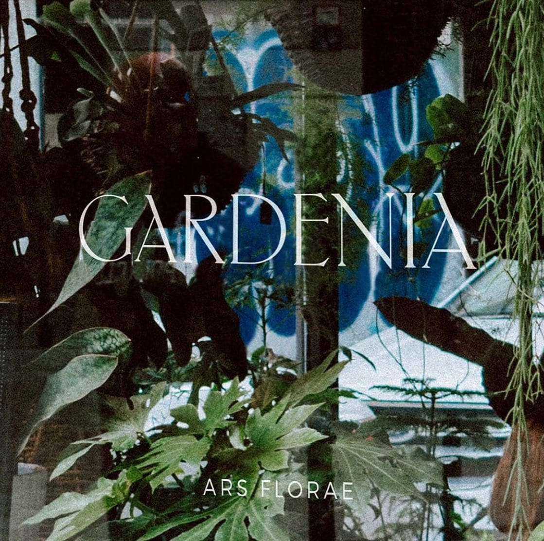 Gardenia