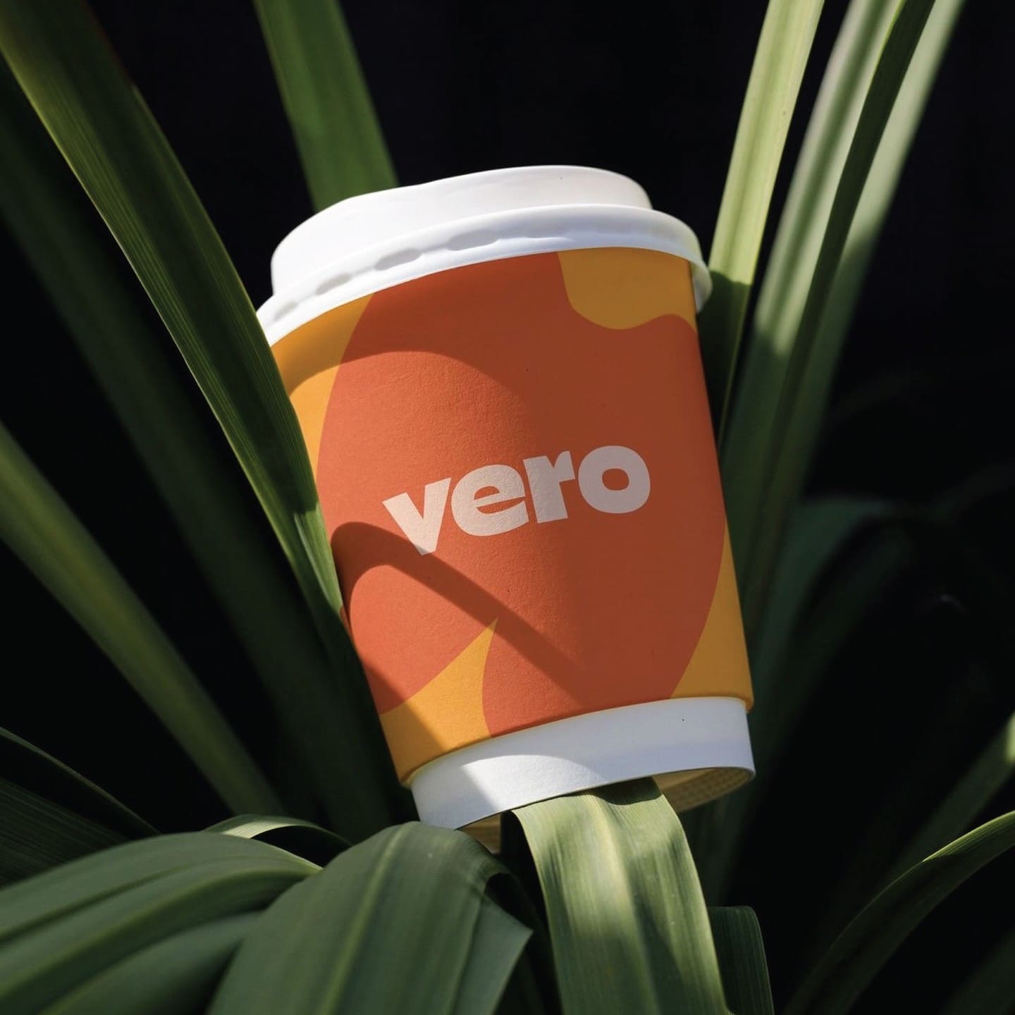 Vero