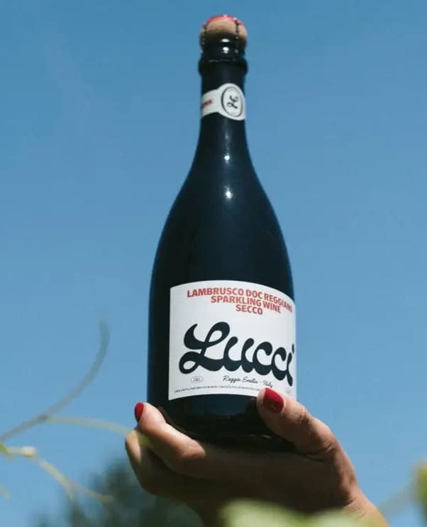 @luccilambrusco